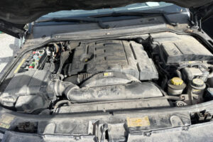 image;s=2560x0;q=100-5 image;s=2560x0;q=100-5