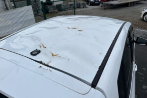 image;s=2560x0;q=100-5 image;s=2560x0;q=100-5