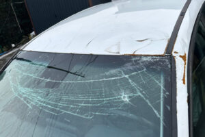 image;s=2560x0;q=100-7 image;s=2560x0;q=100-7