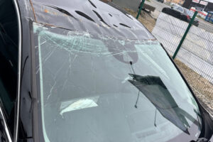 image;s=2560x0;q=100-8 image;s=2560x0;q=100-8